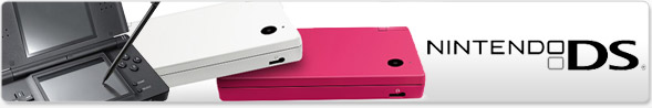 Nintendo DS Consoles, Flash Cards & Accessories
